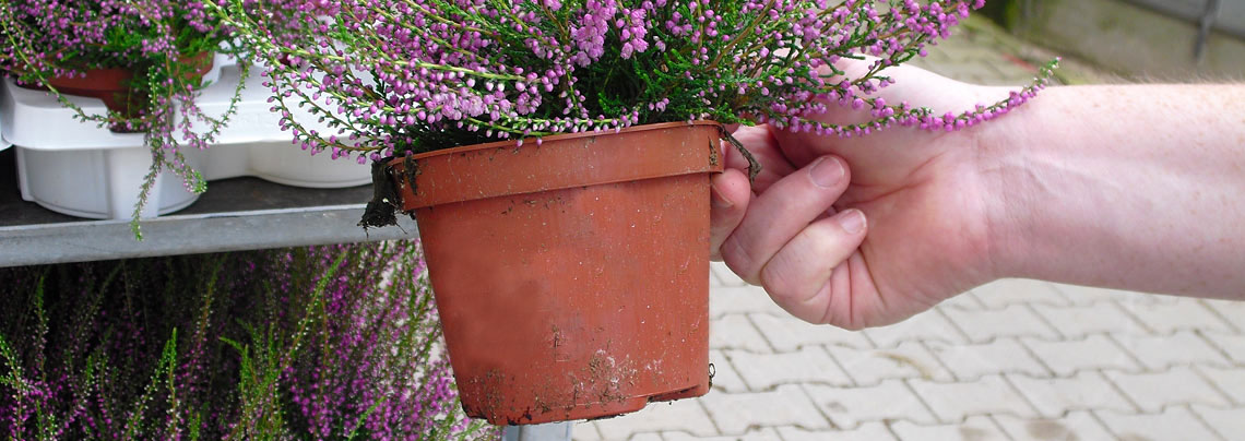 RWZ Gartenbau Kultur- & Pflanzgefäße