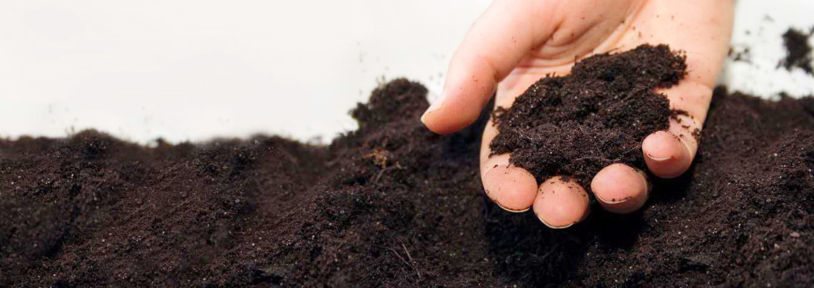 RWZ Gartenbau Produkte