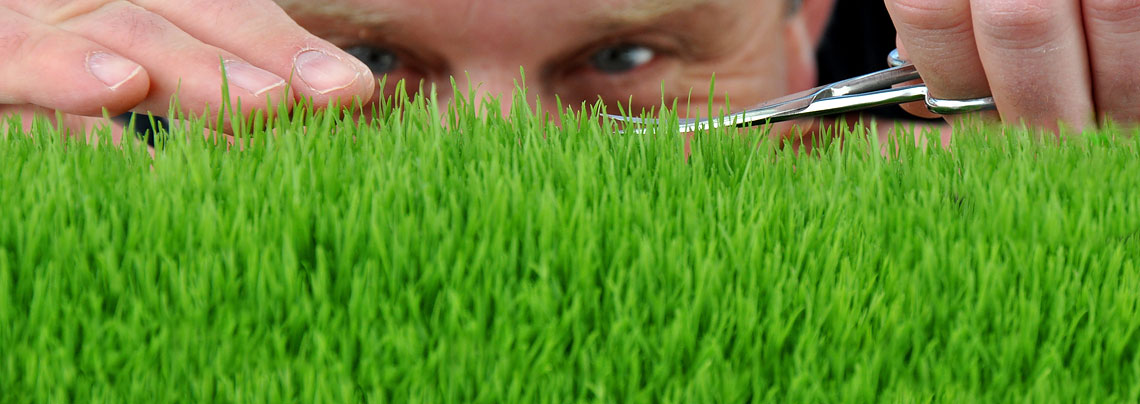 RWZ Gartenbau Saatgut