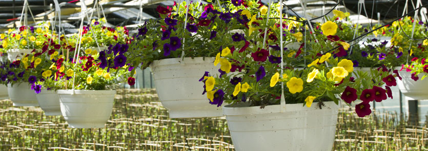 RWZ Gartenbau Befestigung